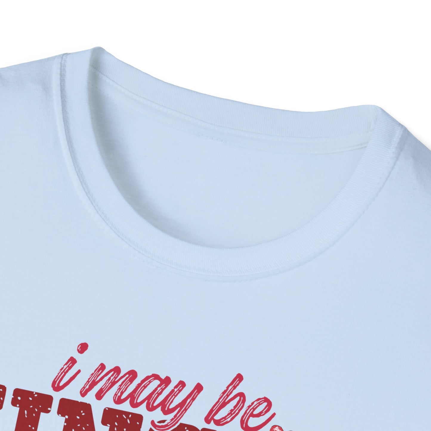 Unisex T-Shirt — "I May Be Single But I Doubt I’m the Problem" Cute Teddy Valentine Tee