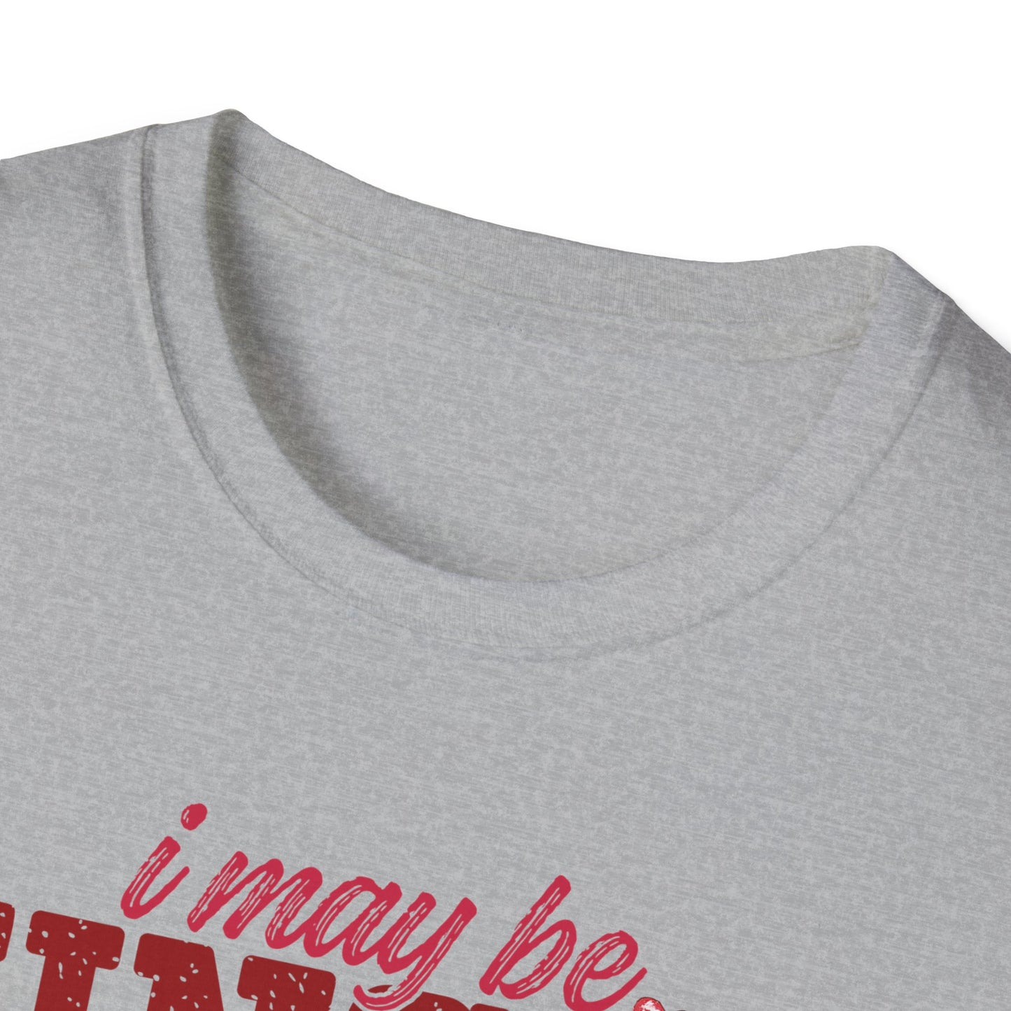Unisex T-Shirt — "I May Be Single But I Doubt I’m the Problem" Cute Teddy Valentine Tee