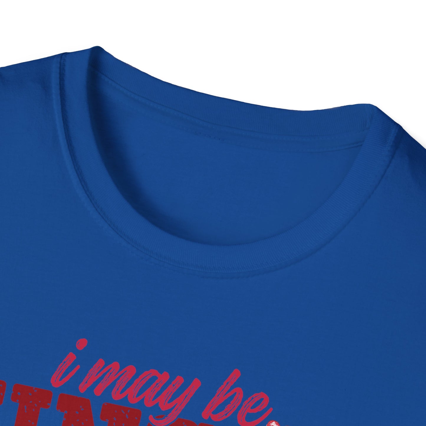 Unisex T-Shirt — "I May Be Single But I Doubt I’m the Problem" Cute Teddy Valentine Tee