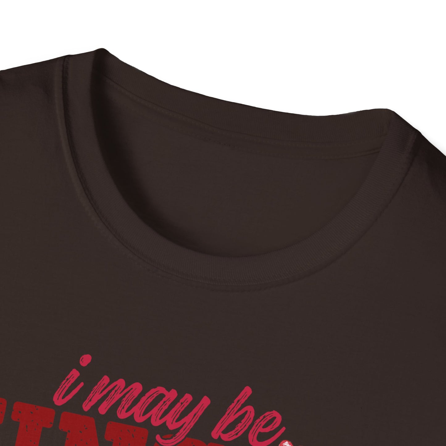 Unisex T-Shirt — "I May Be Single But I Doubt I’m the Problem" Cute Teddy Valentine Tee