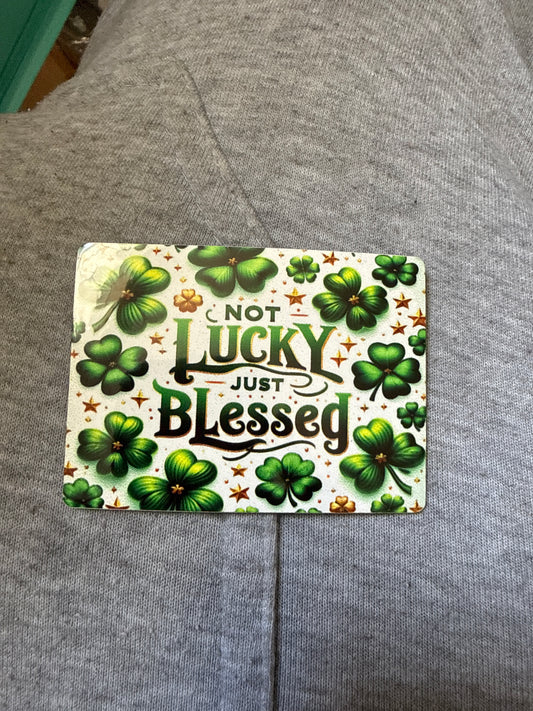 St Paddy 2in Magnet