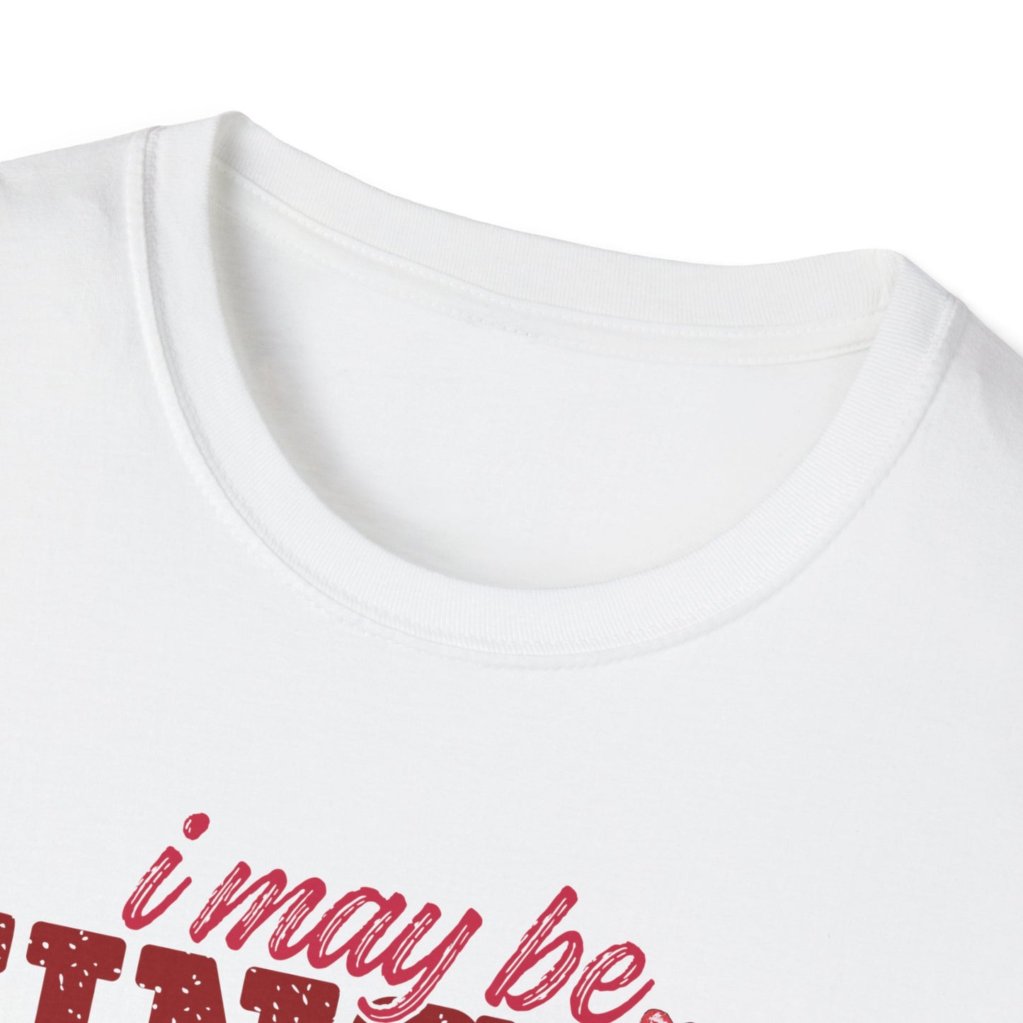 Unisex T-Shirt — "I May Be Single But I Doubt I’m the Problem" Cute Teddy Valentine Tee
