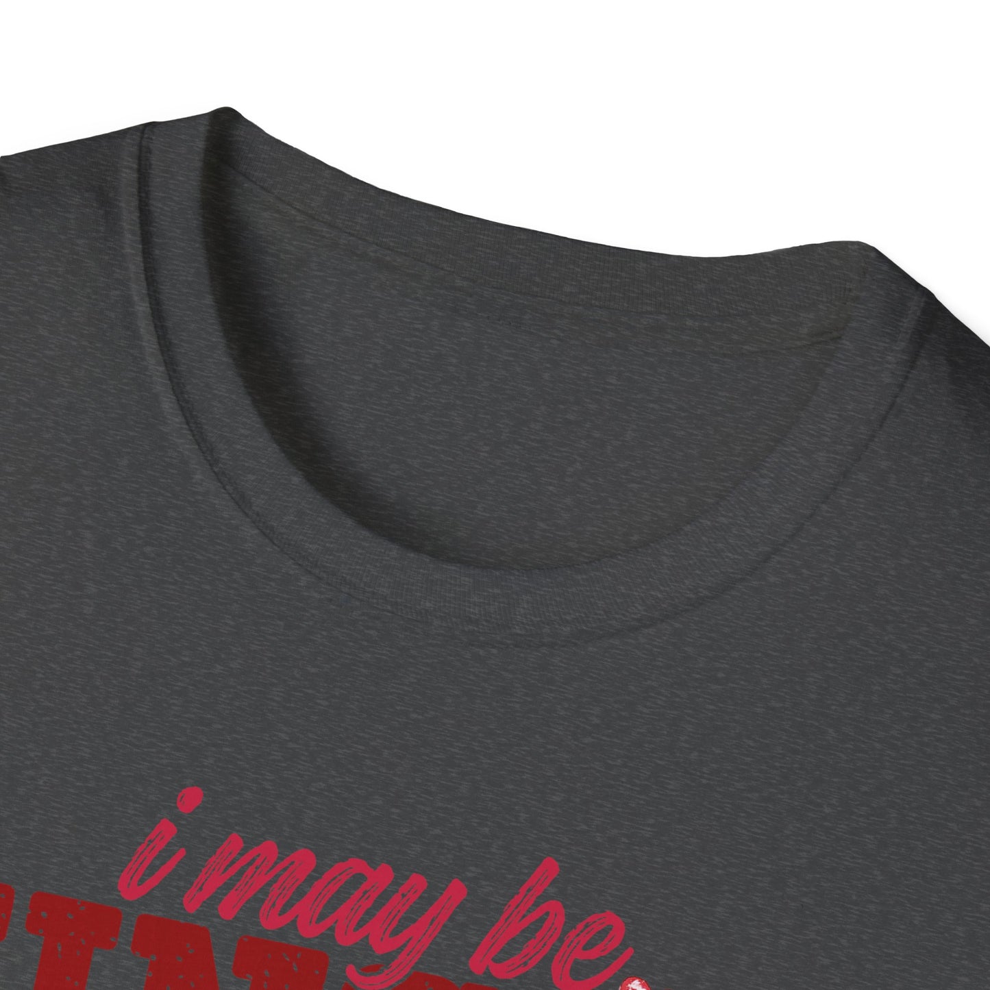 Unisex T-Shirt — "I May Be Single But I Doubt I’m the Problem" Cute Teddy Valentine Tee